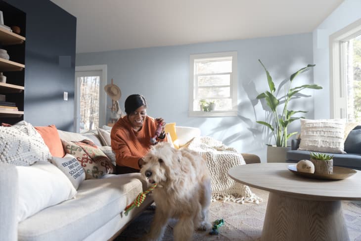 Dog proofing store a room